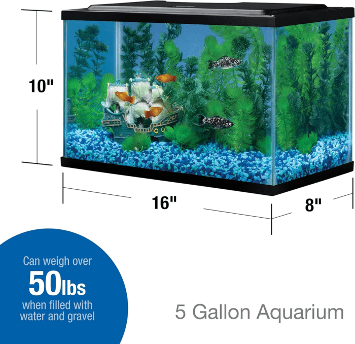 Glass Aquarium 5.5 Gallons, Rectangular Fish Tank - Image 2