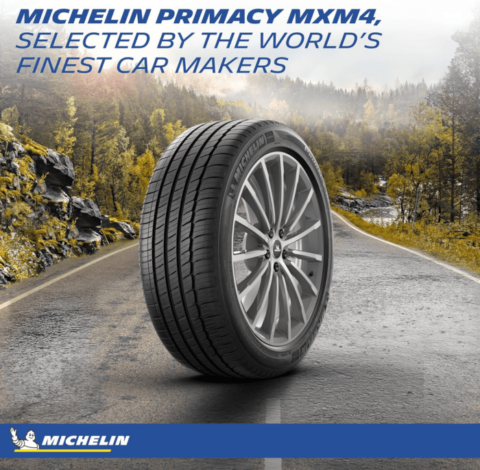 Primacy MXM4, All-Season Car Tire, SUV, Sport and Passenger Cars - 225/45R18 91V - Image 3