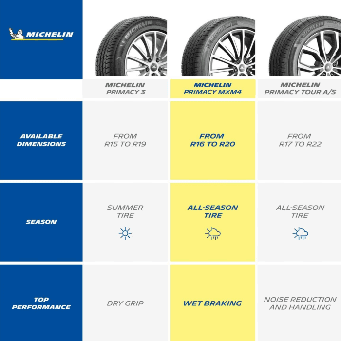 Primacy MXM4, All-Season Car Tire, SUV, Sport and Passenger Cars - 225/45R18 91V - Image 5