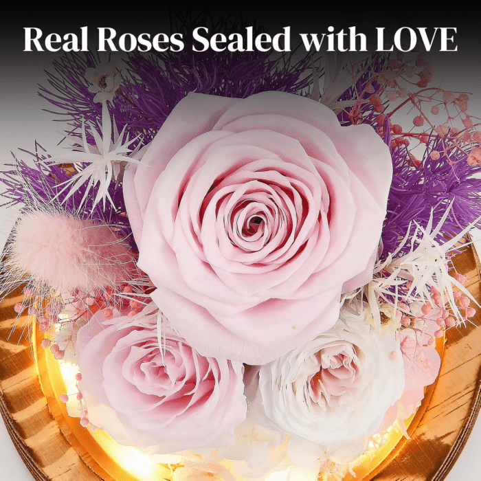 Valentines Day Gifts for Her, Light Pink Forever Real Roses in Glass Dome, Gifts Idea on Anniversary Birthday Mothers Day Christmas for Wife Girlfriend Mom, Flowers for Delivery Prime with LED Light - Image 2