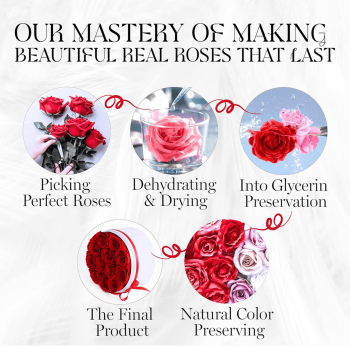 Flowers Forever in a Box 12 Preserved Roses in Velvet Box for Delivery, Valentine'S Day Gifts for Her, Birthday, for Women, Eternal Rose for Wife, Mom Flower - Red - Image 7